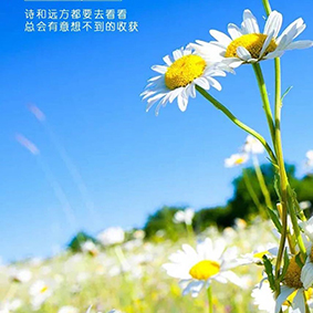 出差路上咳嗽、感冒、頭疼，超負(fù)荷工作用“精油+十三推”竟然也能輕松駕馭